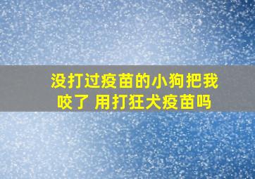 没打过疫苗的小狗把我咬了 用打狂犬疫苗吗